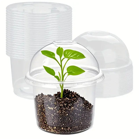 4" Seedling Plant Cup with Propagation Dome | 10 Pack