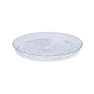 Curtis Wagner Clear Plant Saucer, 12"
