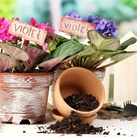 Espoma Organic African Violet All Natural Mix, 4qt