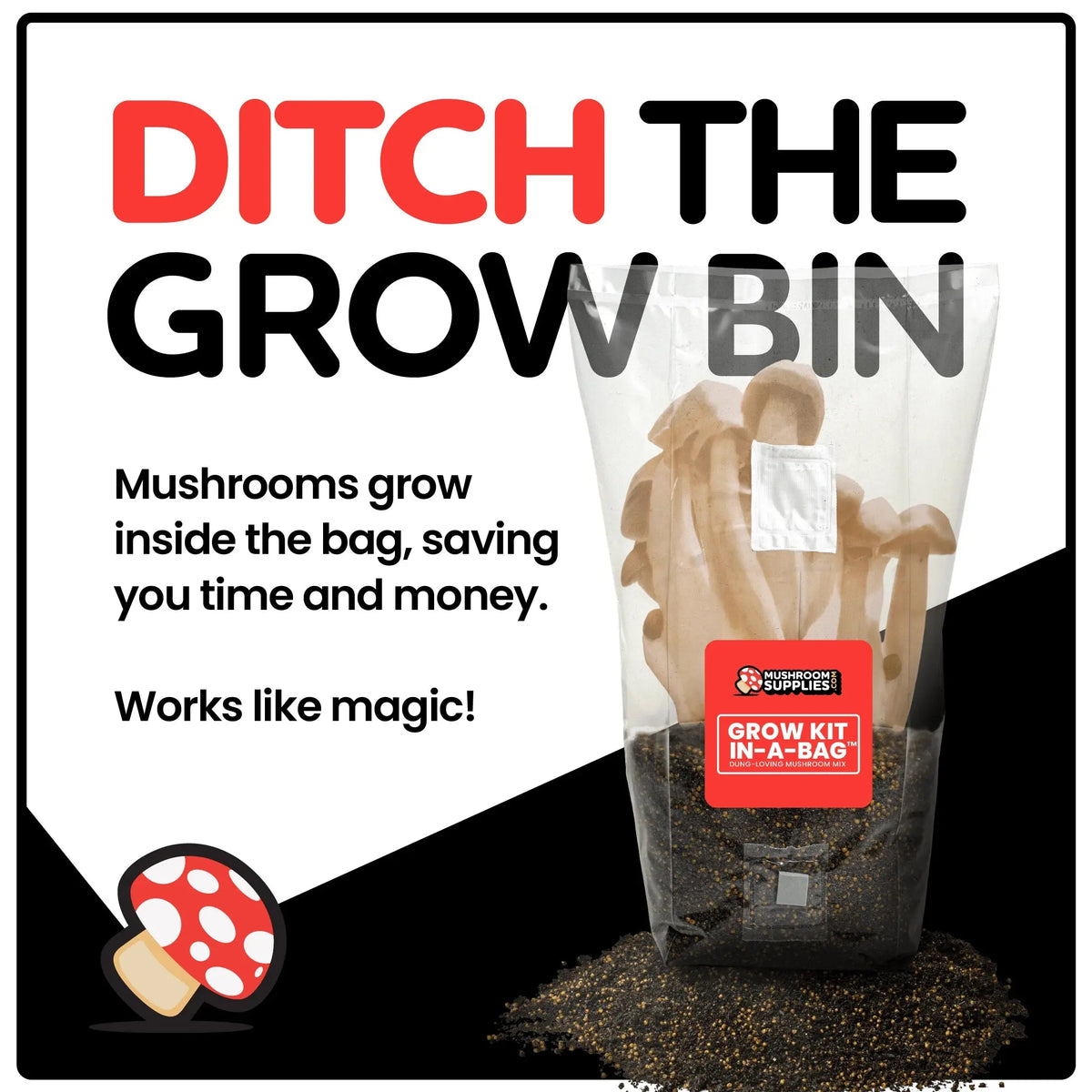 Mushroom Supplies® Mushroom Grow Kit in a Bag, 5lbs