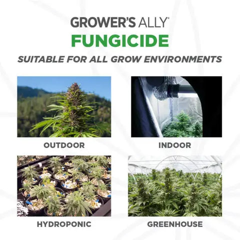 Grower's Ally® Fungicide Concentrate, 1 Gal