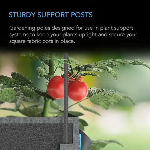 AC Infinity GARDEN PLANT STAKE, 3' AC Infinity