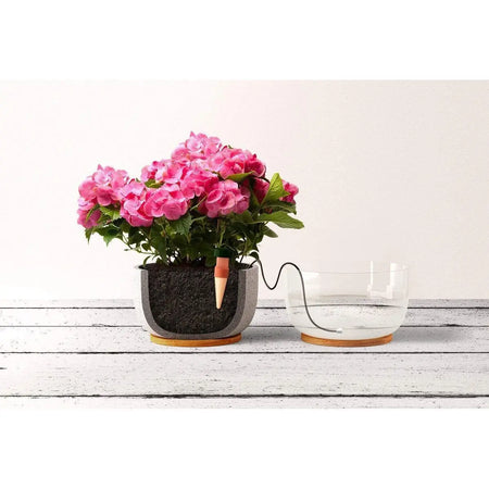 Blumat Classics Junior Automatic Watering Stakes | Pack of 3 Blumat