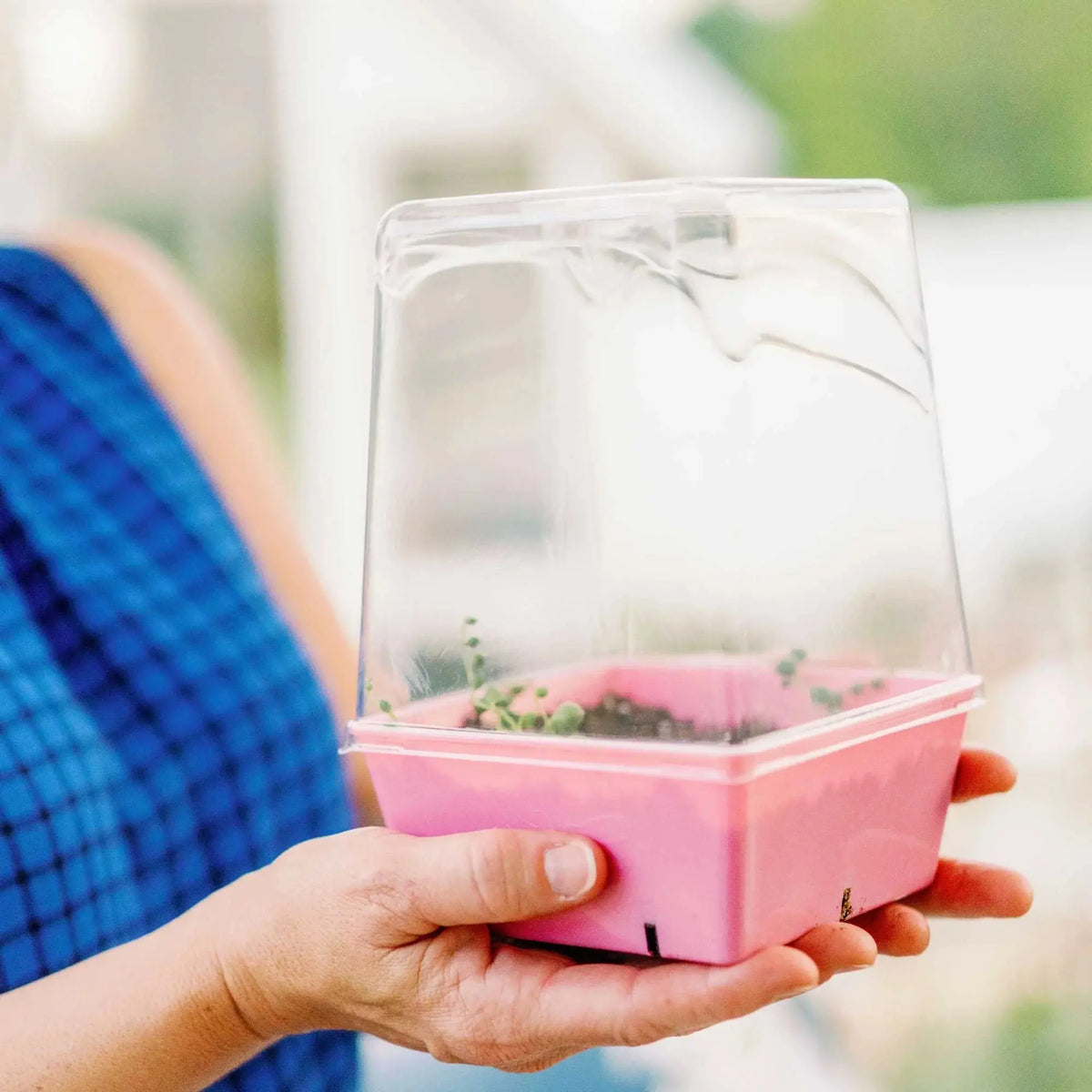 Bootstrap Farmer 5X5 Deep Extra Strength Trays, With Holes | Assorted Colors