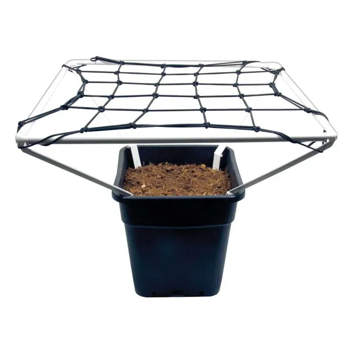 Grow1 SCROG Kit PRO, 20