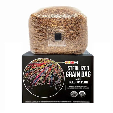 NORTH SPORE Boomr Bag Monotub Mushroom Grow Kit NORTH SPORE