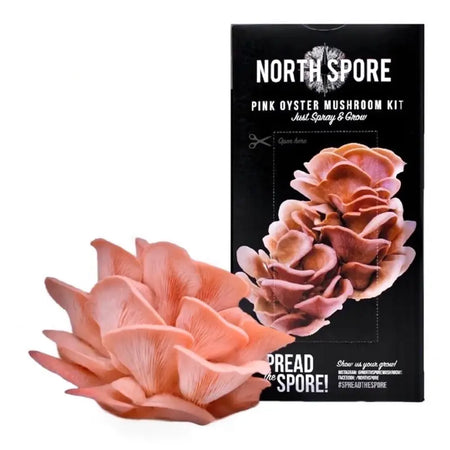 NORTH SPORE Pink Oyster ‘Spray & Grow’ Mushroom Growing Kit NORTH SPORE