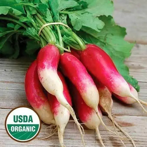 Seed Savers Exchange Radish, French Breakfast (Organic) Seed Savers Exchange