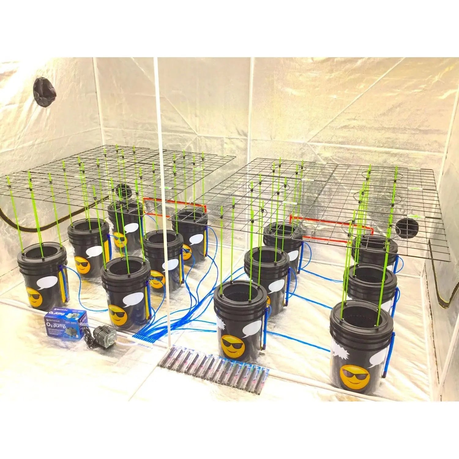 Shop for GROJI® Bubble Bucket DWC Hydroponic Systems at GARDEN SUPPLY