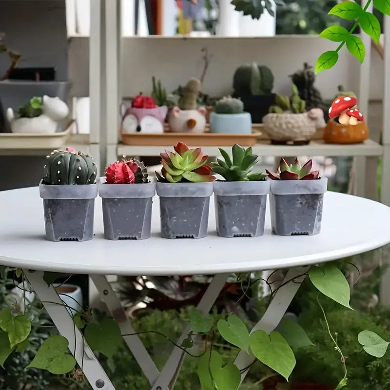 1.5" Square Propagation Seedling Plant Cup | 20 Pack