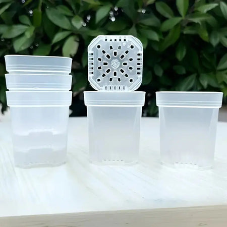1.5" Square Propagation Seedling Plant Cup | 20 Pack