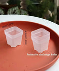 1.5" Square Propagation Seedling Plant Cup | 20 Pack