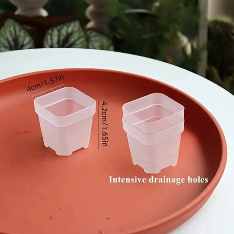 1.5" Square Propagation Seedling Plant Cup | 20 Pack