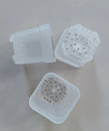 1.5" Square Propagation Seedling Plant Cup | 20 Pack