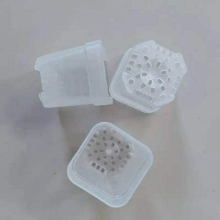 1.5" Square Propagation Seedling Plant Cup | 20 Pack