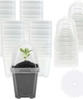 3" Plant Starter Clear Square Pot with Dome | 30 Pack