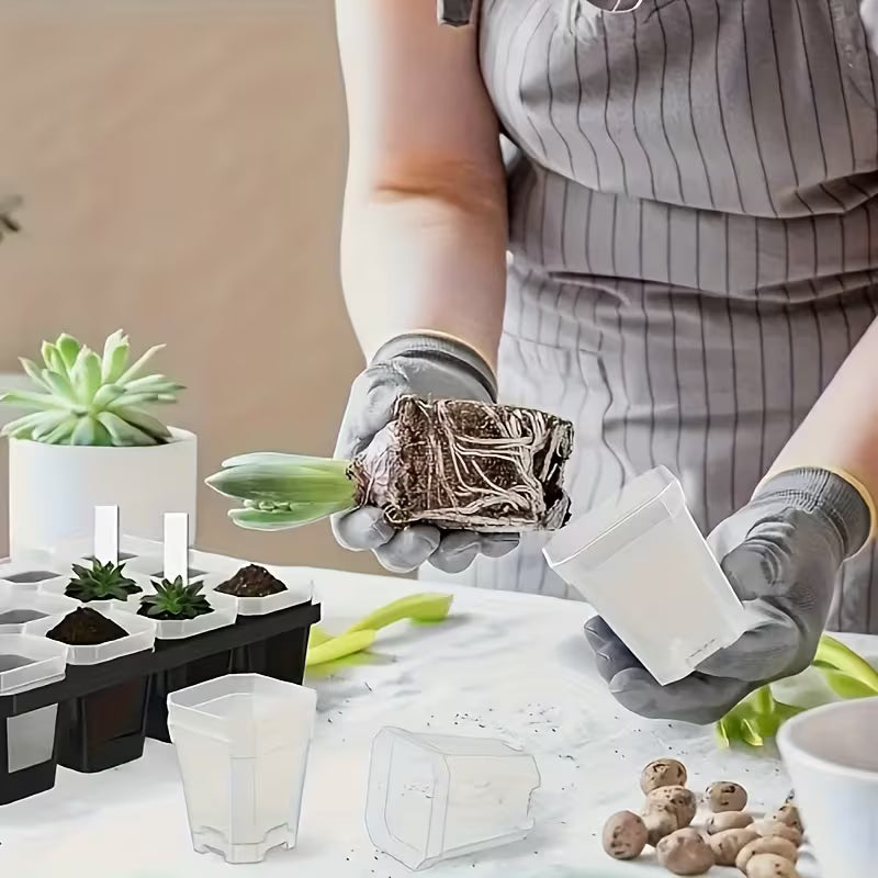 3" Plant Starter Clear Square Pot with Propagation Dome