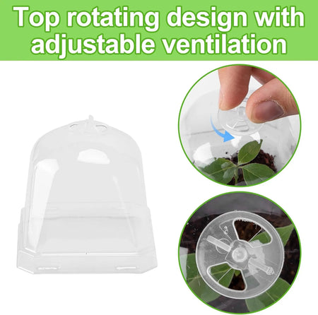 3" Plant Starter Clear Square Pot with Propagation Dome