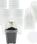 3" Plant Starter Clear Square Pot with Propagation Dome