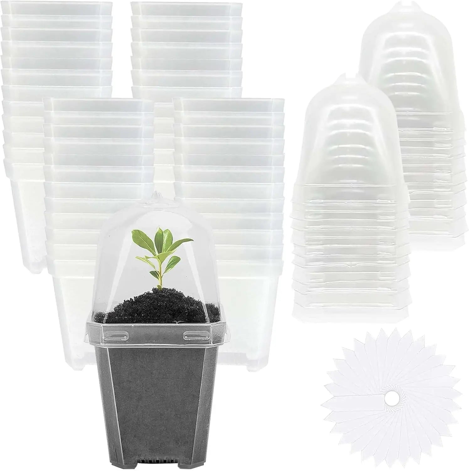 3" Plant Starter Clear Square Pot with Propagation Dome