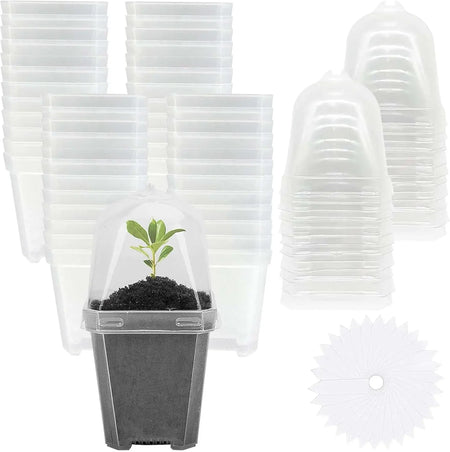 3" Plant Starter Clear Square Pot with Propagation Dome