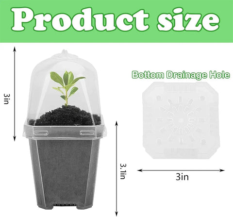 3" Plant Starter Clear Square Pot with Propagation Dome | 30 Pack