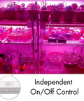 4-Pack 4ft LED Grow Lights – 20W Full Spectrum for Indoor Plants