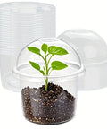 4" Seedling Plant Cup with Propagation Dome | 10 Pack