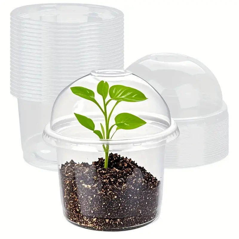 plastic plant propagators 4" Seedling Plant Cup with Propagation Dome | 10 Pack | In-Stock
