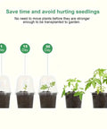 4" Seedling Plant Cup with Propagation Dome | 10 Pack