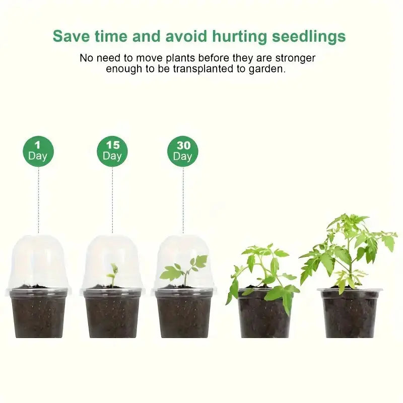 4" Seedling Plant Cup with Propagation Dome | 10 Pack