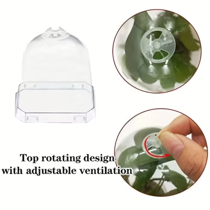 5" Plant Starter Clear Square Pot with Propagation Dome