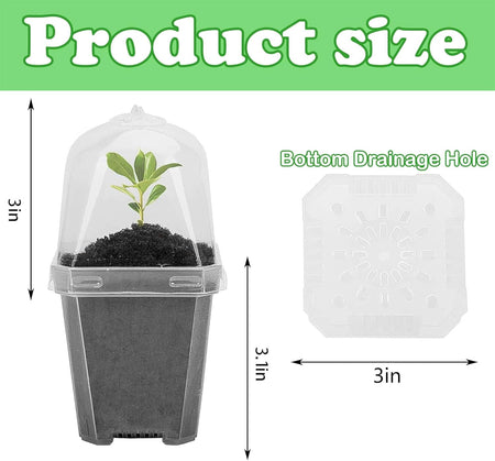 5" Plant Starter Clear Square Pot with Propagation Dome