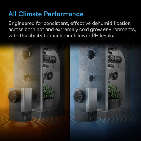 AC Infinity HYDRONE 5 all-climate plant dehumidifier for hot and cold grow environments