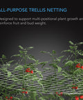 AC Infinity Polyester Plant Trellis Netting, 5' x 30'