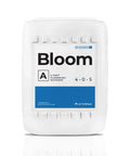 Athena® Blended Line, Bloom A