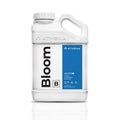 Athena® Blended Line, Bloom B