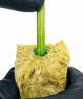 Athena® Blended Line, Cuts Rooting Gel