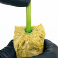 Athena® Blended Line, Cuts Rooting Gel