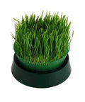 Basic Sprouting Kit - Tray Seed Sprouter Kit