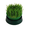 Basic Sprouting Kit - Tray Seed Sprouter Kit