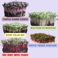 Beginner 5x5 Microgreens Kit – Grow Media, Single Set of Trays & 5 Seed Varieties