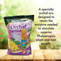 Better-Gro Phalaenopsis Orchid Potting Mix, 8qt