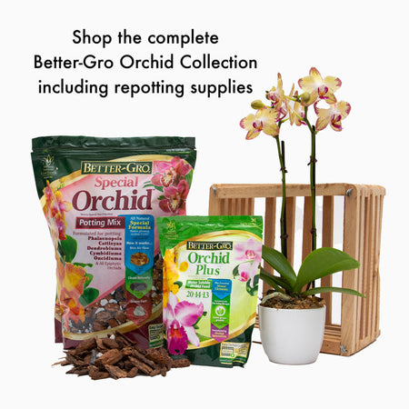 Better-Gro Special Orchid Mix, 4qt
