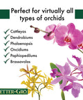 Better-Gro Special Orchid Mix, 4qt