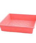 Bootstrap Farmer 1010 Seed Germination Tray 2.5" Deep, No Holes | Assorted Colors