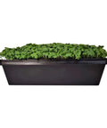 Bootstrap Farmer 1010 Seed Starting Flats 2.5" Deep | No Holes