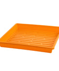 Bootstrap Farmer 1010 Shallow Seed Trays, No Holes | Assorted Colors