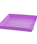 Bootstrap Farmer 1010 Shallow Seed Trays, No Holes | Assorted Colors