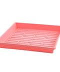 Bootstrap Farmer 1010 Shallow Seed Trays, With Holes | Assorted Colors